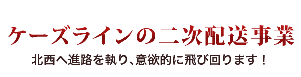 ケーズラインの二次配送事業 北西へ進路を執り、意欲的に飛び回ります！